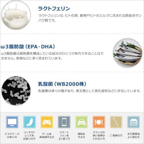 オプティエイドDE（乳酸菌・ラクトフェリン・EPA・DHA配合） わかもと製薬　60粒入り3本セット
